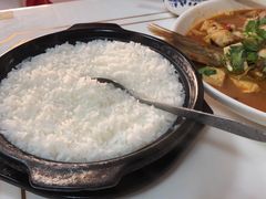 煲饭-煲来饱去冷水鱼