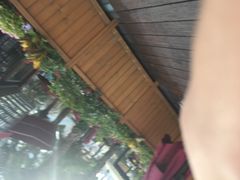 -四季合味椰子鸡(南山大冲店)
