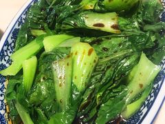 -九道菜有鸡鱼头(石鼓路店)