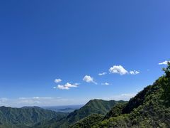 -大岭沟猕猴桃谷风景区