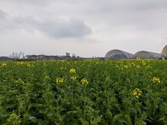 -中国天府农业博览园