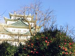 -名古屋城