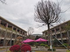 -成都安仁福朋喜来登酒店