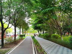 -东莞植物园