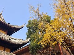 -龙华素斋(龙华路店)