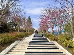 -盈香心动乐园