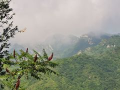 -玉渡山自然风景区