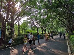 -大屏嶂森林公园