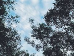 -小南山公园