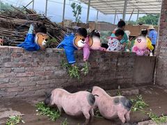 -宾果蒙特梭利托育儿童之家幼儿园(爱琴海店)