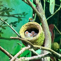 -Zoolung Zoolung动物主题公园(海信广场店)