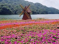 -广州市石门国家森林公园