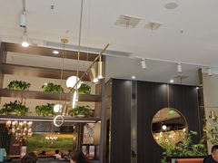 -刘胖子家常菜·蹄花焖藕(中南店)