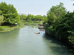 -尚贤河湿地