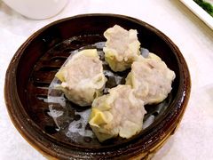 -柳饮·春柳酒家