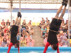 -尼莫海豚馆