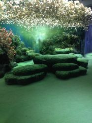 点击看大图 -金海岸婚纱摄影(塘沽店)