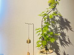 -十二舍·湯物素煮(江泰潤政店)