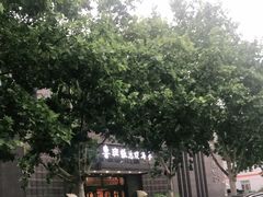 -鲁班张葱烧海参(马庄街店)