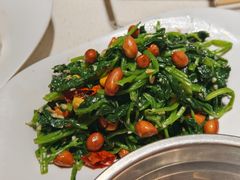 -蝎王府羊蝎子(北大地店)