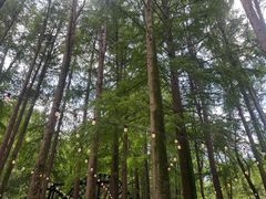 -波尔登森林公园