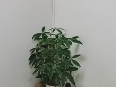 -芳草堂中医门诊部(怡芳苑店)