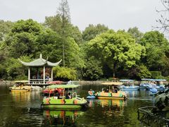 游乐设施-鲁迅公园