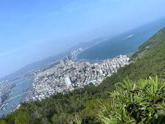 -广东惠东海龟国家级自然保护区