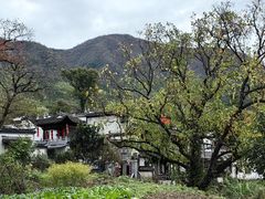 -塔川景区