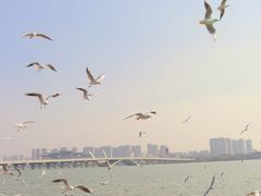 -蠡湖大桥公园
