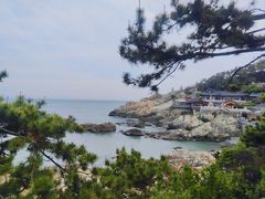 -海东龙宫寺