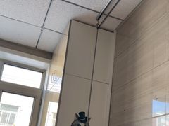 -北京观赏动物医院·24小时大型综合·猫专科·异宠专科