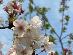 -杭州城北体育公园