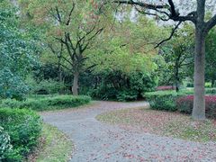 -黄兴公园