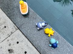 -候鸟水榕庄度假酒店
