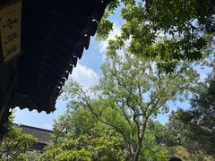 -拙政园