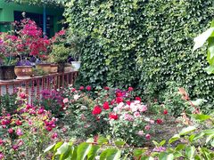 -马白开来特色羊排揪片子  (总店)