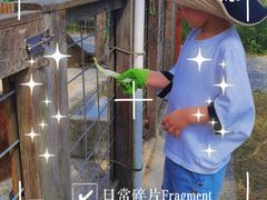 -前小桔亲子创意农场·草莓采摘·露营烧烤