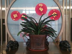 -元唐家宴•经典东北菜(梅市口路店)