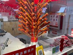 -和禄德冰糖葫芦