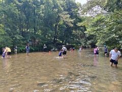 -广州市石门国家森林公园