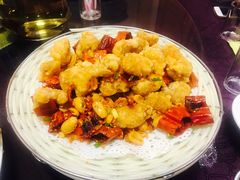 -丁老爷子苏香圆
