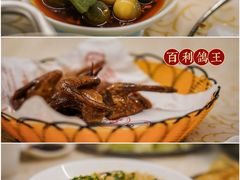 -百利鸽王(紫薇路店)