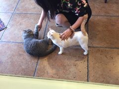 -B.O.M波姆烘焙(凤凰街店)