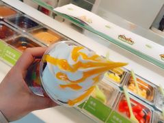 -Salud撒露欧洲冻酸奶(798艺术区店)