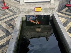 -西安市广仁寺