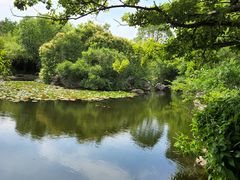 -上海吴淞炮台湾国家湿地公园