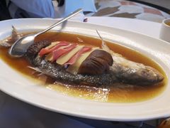 清蒸鲥鱼-沪碟·精菜坊(闵行店)