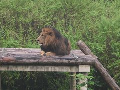 -石家庄市动物园