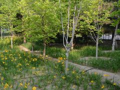 -大兴滨河森林公园